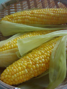 o0400053310216245667_1